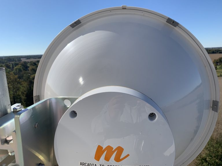 Mimosa b11