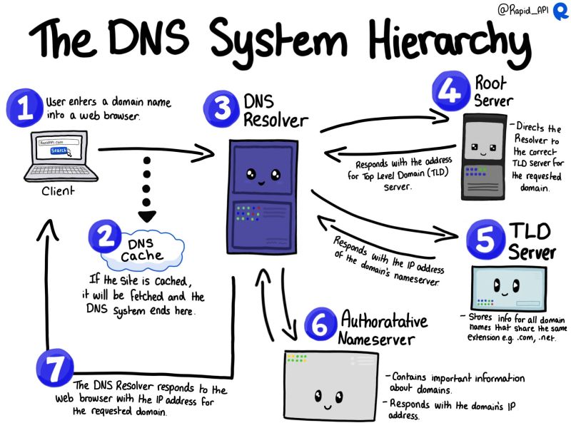 How does the Domain Name System (DNS) work? - The Security Buddy