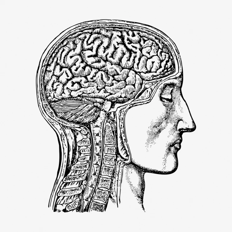 When Competence Is Unnoticed: Navigating the Phase of Professional Invisibility